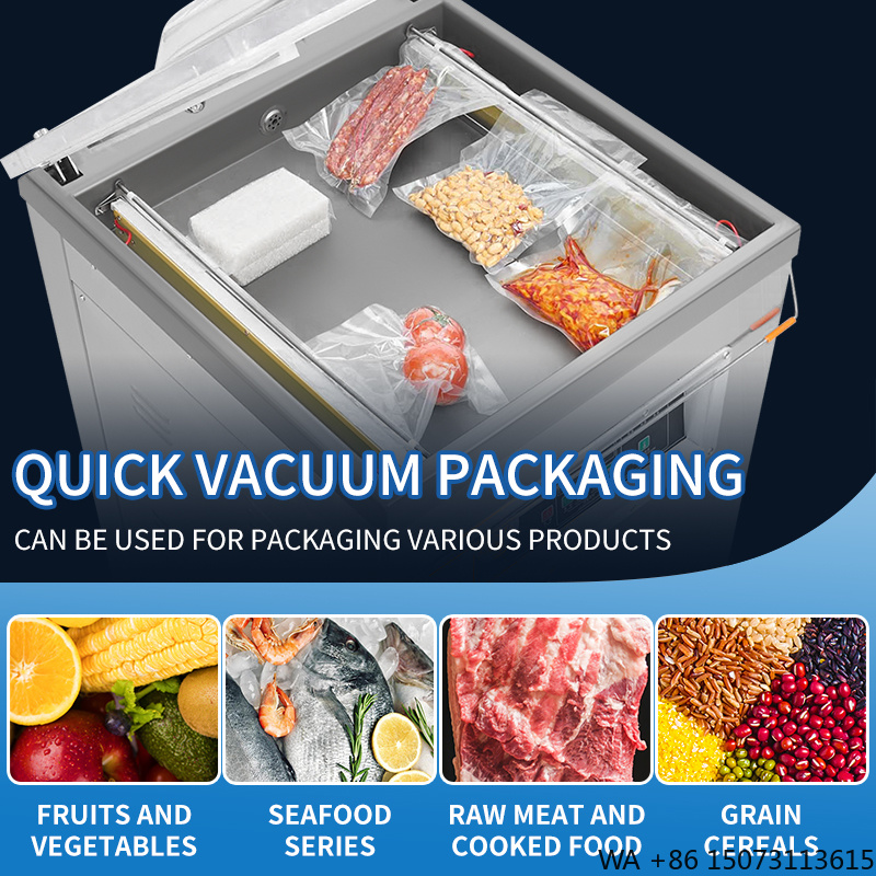 DZ-500  Vertical Single Chambe - Meal Prep Bag recension och pris